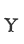 Y