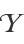 Y