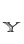 Y