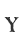 Y